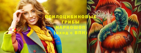 винт Алзамай