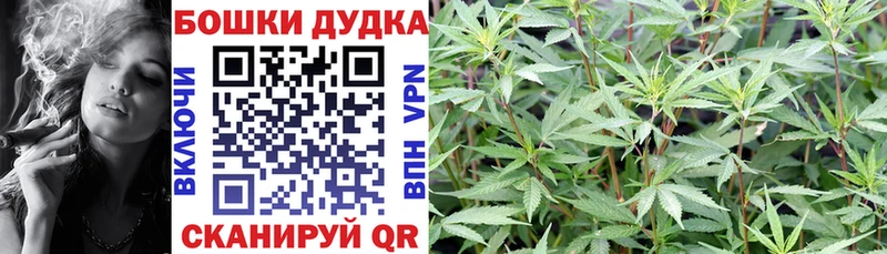 Конопля индика  как найти закладки  блэк спрут онион  Нарьян-Мар 